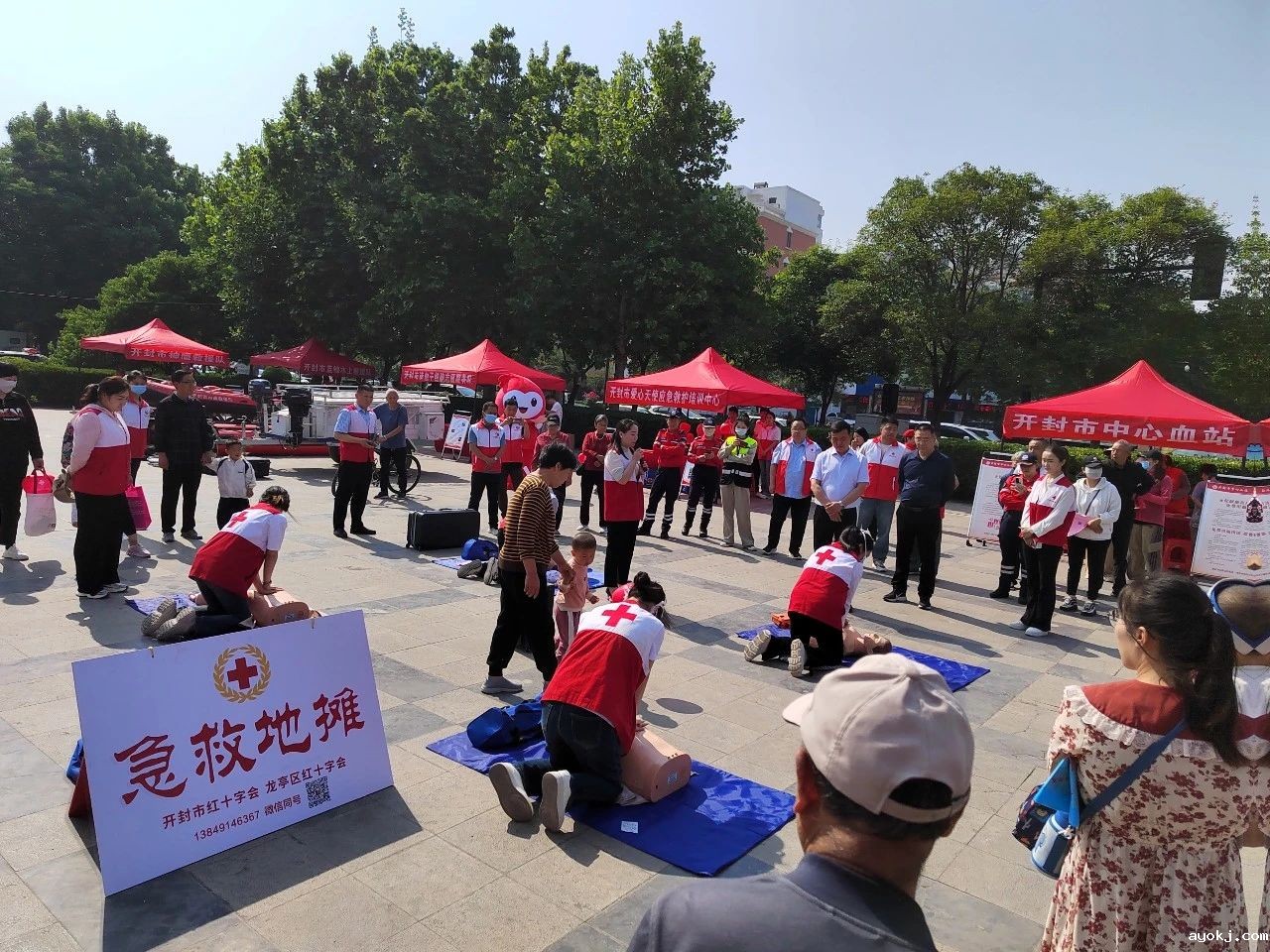 微信图片_20241213170346.jpg 微信图片_20241213170346.jpg