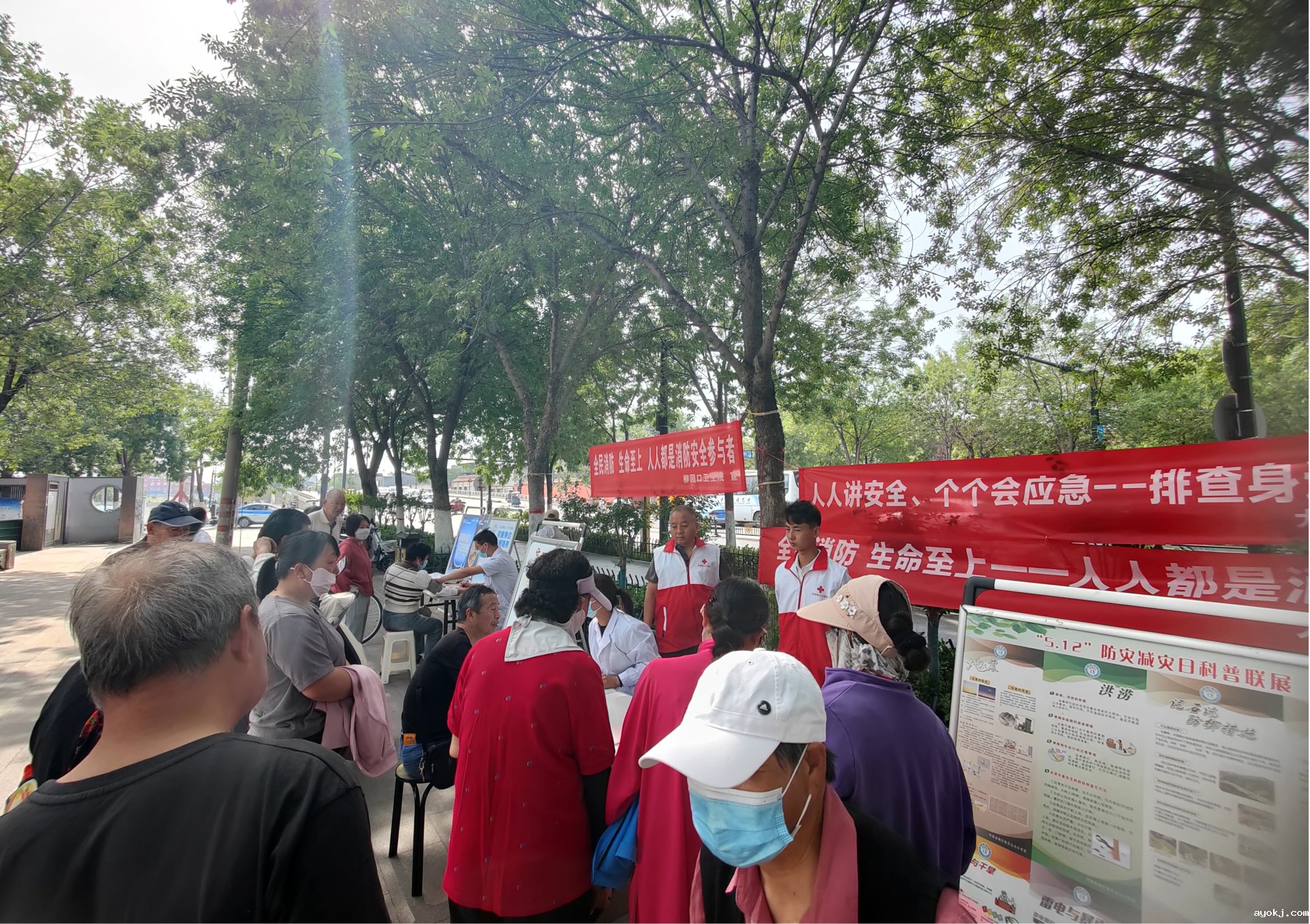 图片1_副本.jpg 图片1_副本.jpg