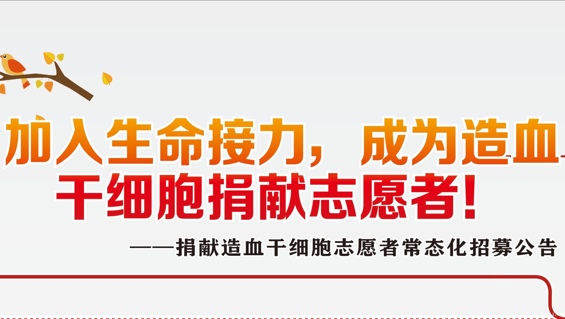 加入生命接力，成为造血干细胞捐献志愿者